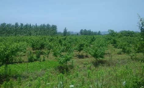 说明: G:\Photo\100ANDRO\DSC_0164.JPG