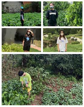 说明: C:\Users\nVI\Desktop\2131志愿者\志愿图\合1.jpg